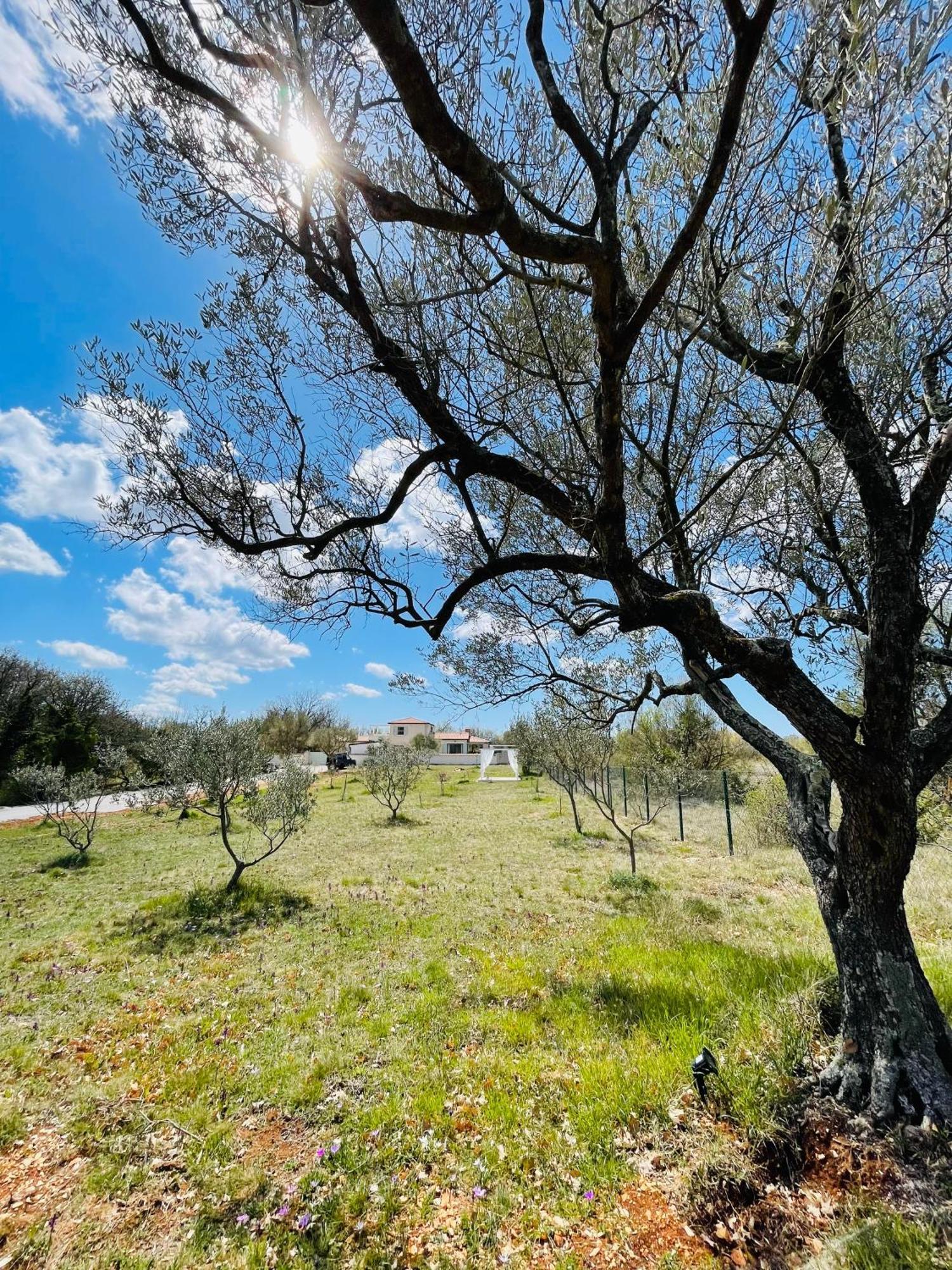 Luxury Villa In Istria - 9,000 Sqm Private Estate With Pool & Sauna, 15 Min To Sea, Near Fazana, 3 Bedrooms Juršići Eksteriør billede