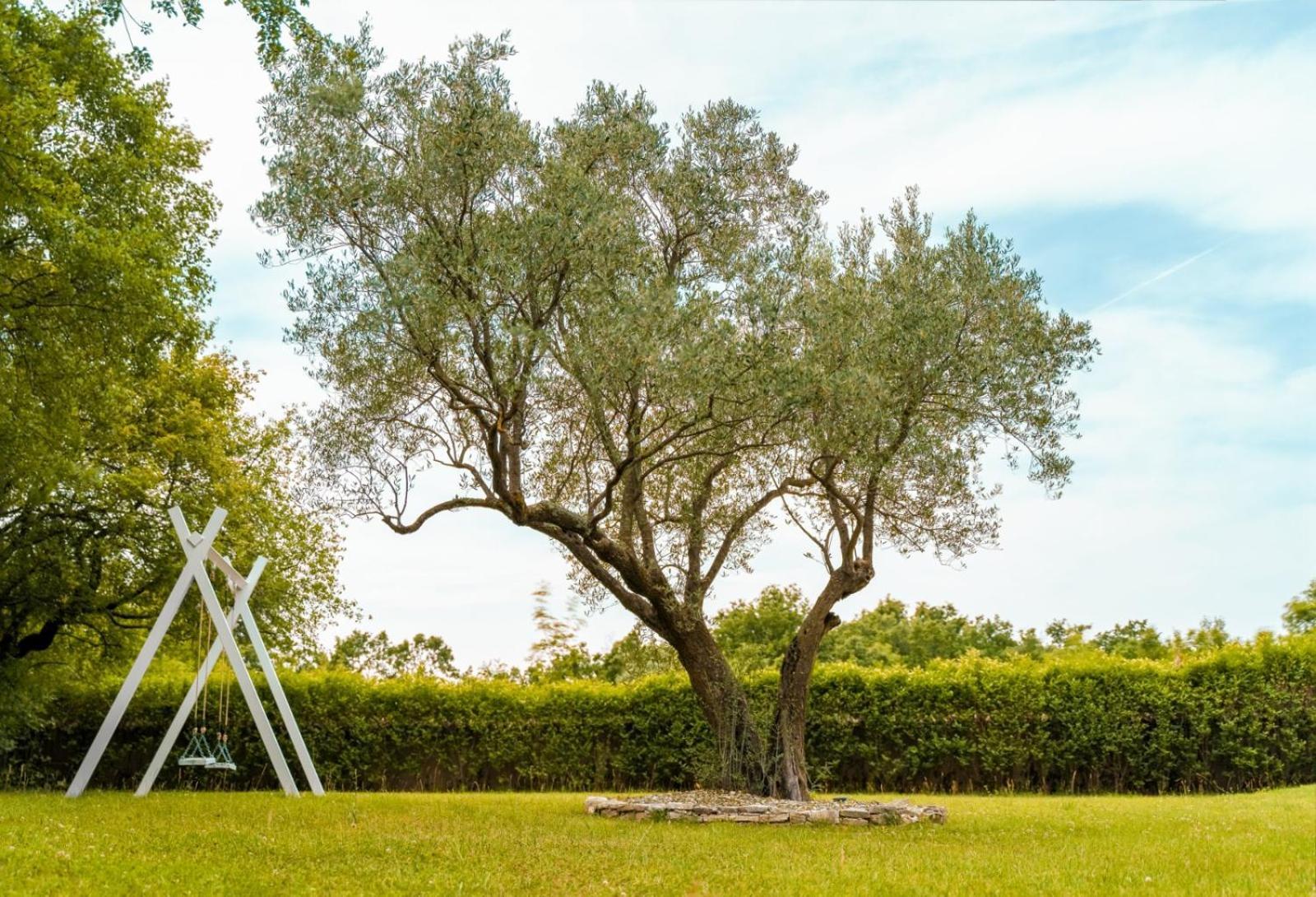 Luxury Villa In Istria - 9,000 Sqm Private Estate With Pool & Sauna, 15 Min To Sea, Near Fazana, 3 Bedrooms Juršići Eksteriør billede